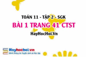 Bài 1 trang 41 Toán 11 tập 2 Chân trời sáng tạo